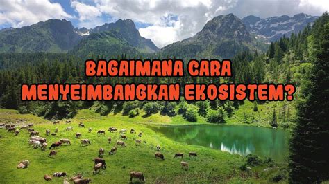 Inilah 6 Cara Menjaga Keseimbangan Ekosistem Lingkungan Hidup YouTube