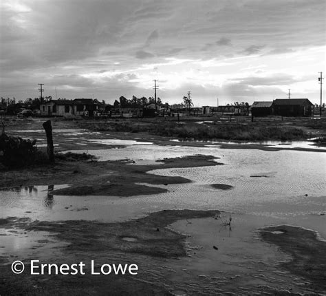 Teviston, a Black Okie Community - Harvesting my life