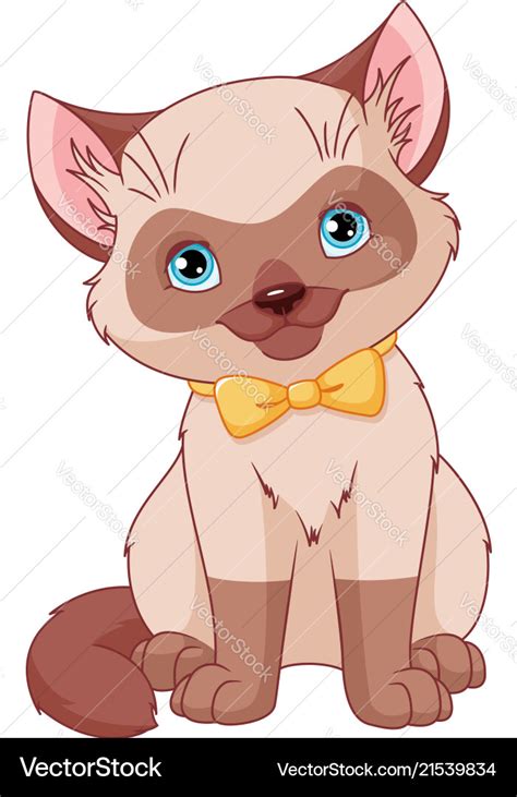 Siamese Kitten Royalty Free Vector Image Vectorstock