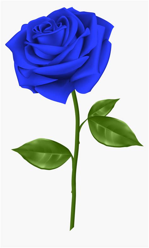 Svg Blue Rose Clipart - Single Blue Rose Flower, HD Png Download , Transparent Png Image - PNGitem