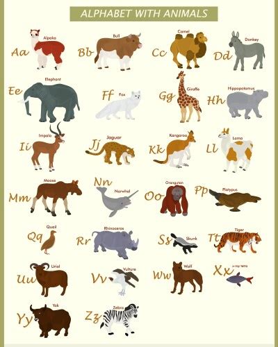 English Animals Zoo Alphabet Letter Vector Images Over 5400