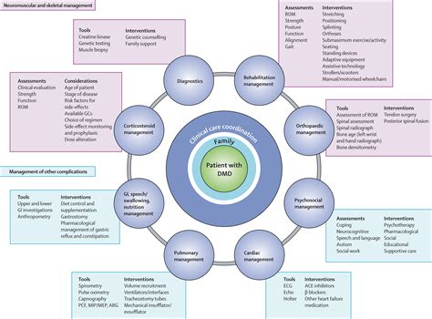 Duchenne Muscular Dystrophy Diagram