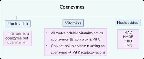 Enzymes Classification Properties NEET PG Biochemistry