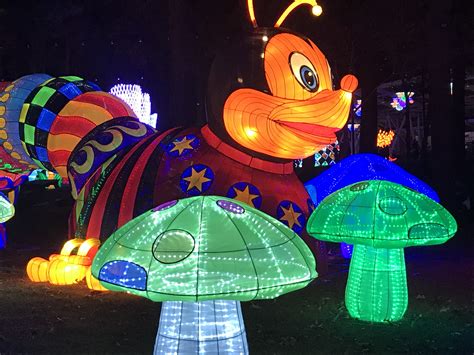 PHOTOS: North Carolina Chinese Lantern Festival - ABC11 Raleigh-Durham