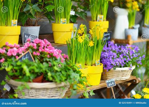 Beautiful Flowers Sold On Outdoor Flower Shop Stock Image Image Of