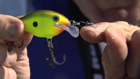 Crank Baits For Cold Water Bass Fishing Youtube