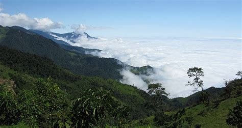 Demystifying The Wonder Behind The Tropical Cloud Forest