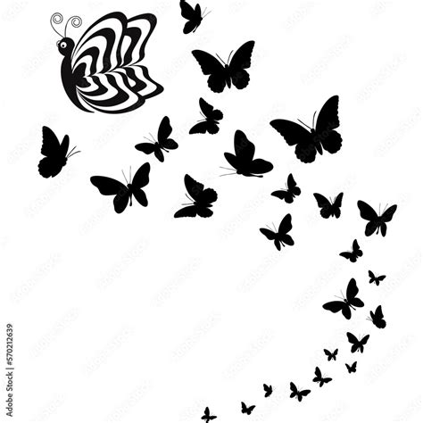 Black Butterfly svg, Butterfly vector illustration, butterfly logo ...