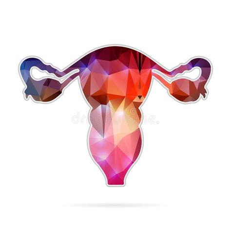 Vulva Ilustraciones Stock Vectores Y Clipart Ilustraciones Stock