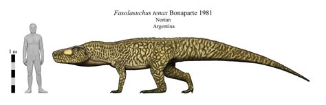 Fasolasuchus