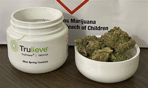 Trulieve Truflower Review Blue Spring Cookies Indica Florida