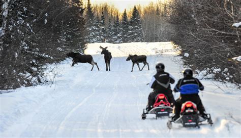 Snowmobiling Aroostook County: A Novice's Guide | Down East Magazine ...