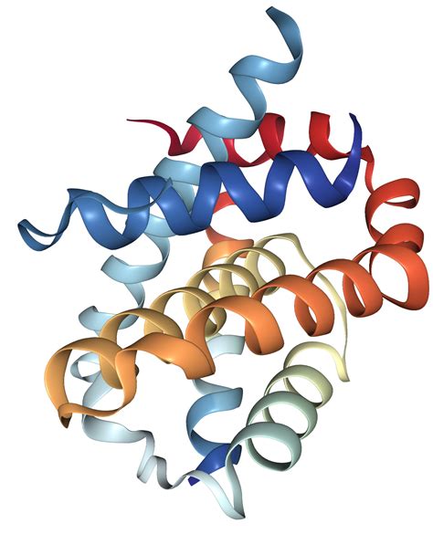 Beclin 1becn1 Protein Overview Sino Biological