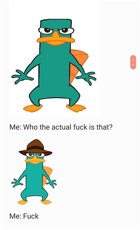 Its Perry, Perry the platypus : r/memes