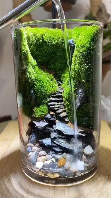 Fantastic Moss Terrarium Ideas You Can Have At Home In