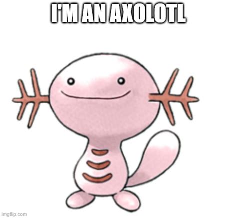 Axolotl Memes Clean