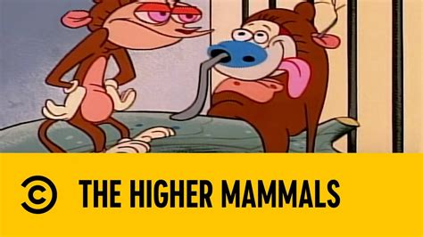 The Higher Mammals The Ren Stimpy Show Comedy Central Africa