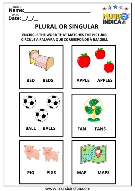 Singular E Plural Em Inglês - 8 Atividades sobre Plural dos Substantivos em Inglês