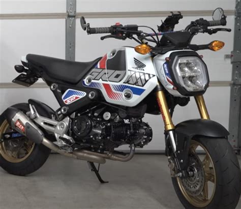 Honda Navi Vs Grom In Depth Comparison And Buyer S Guide