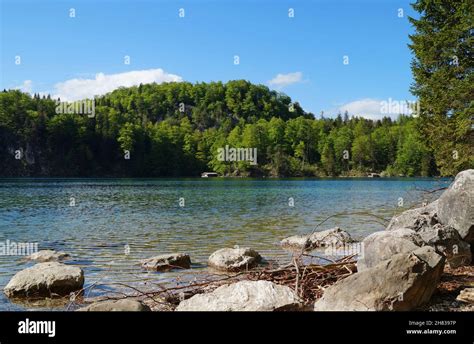 Gorgeous Emerald Green Lake Alpsee In The German Alps In Hohenschwangau