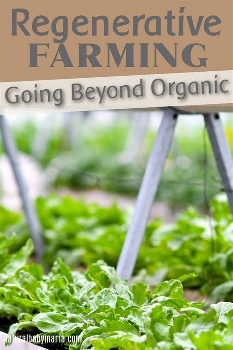 Regenerative Farming Going Beyond Organic Farming Artofit