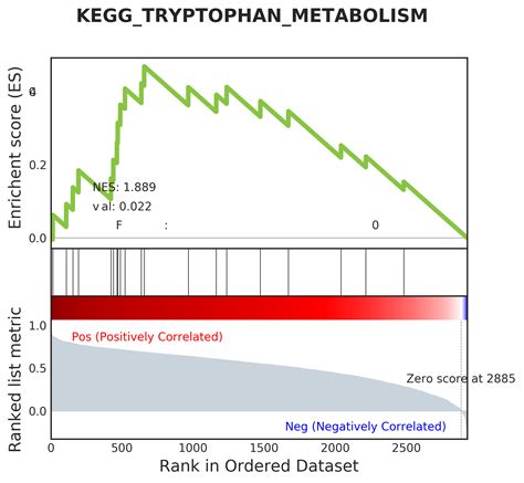 Pattern Gene Finder