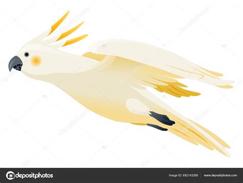 Parrot Animation Exotic Adorable Fauna Character Flight White Sulphur