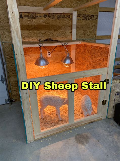DIY Livestock stall | Goat barn, Sheep shelter, Goat shelter