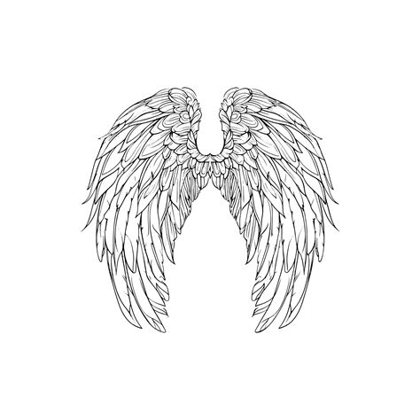 Black and white wings vintage ink drawing vector illustration for ...