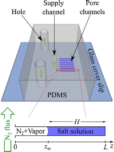 Schematic Of The Pdms And Glass Microfluidic Chip Crystallization And