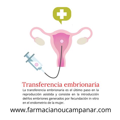 Transferencia Embrionaria Farma Fertilidad