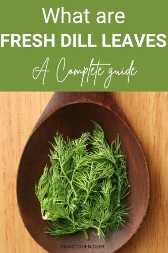 Fresh Dill Leaves Nutrition Benefits How To Use Buy Store