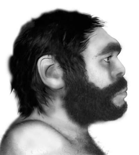 Human Sex With Neanderthals Best Thing We Ever Did Ibtimes