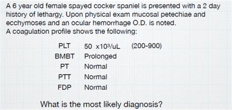 Exam Transfusions Flashcards Quizlet