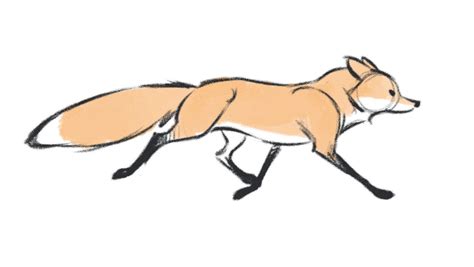 draw  fox running