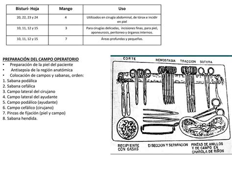 presentación pegar Inmuebles orden instrumental quirurgico mesa mayo