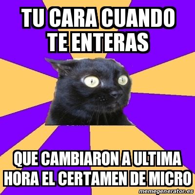 Meme Anxiety Cat Tu Cara Cuando Te Enteras Que Cambiaron A Ultima