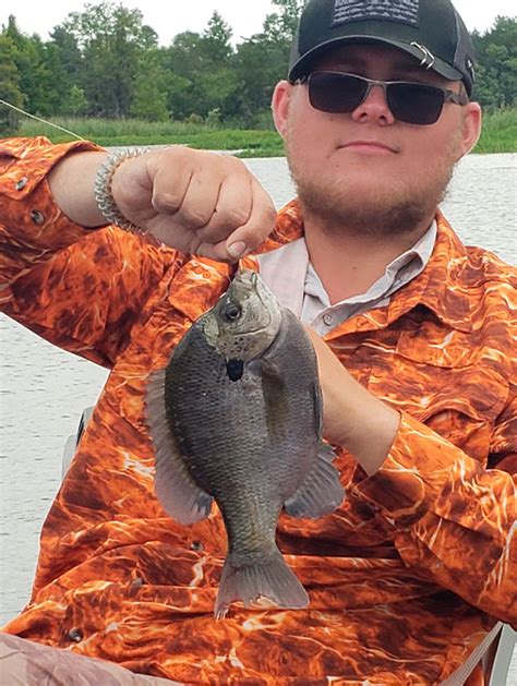 Santee Cooper Bream Fishing Carolina Sportsman