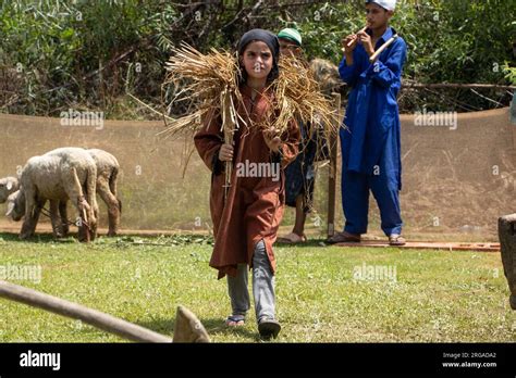 Kashmiri Culture Hi Res Stock Photography And Images Alamy