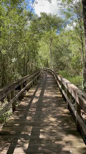 10 Best Hikes and Trails in Highlands Hammock State Park | AllTrails