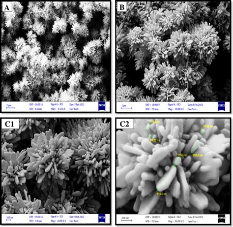 Fesem Images Of Zno Nanoflowers At A M B M And C Nm