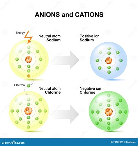 Chlorine Positive Or Negative Charge at Allan Sturtz blog