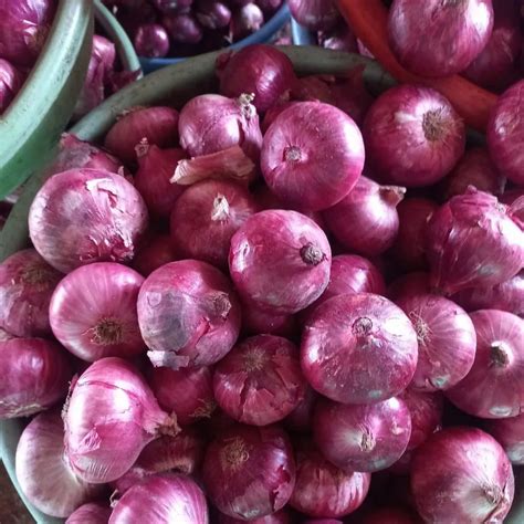 A Grade Maharashtra Red Onion Onion Size Available Large At Rs Kg