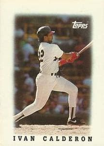 1988 Topps Major League Leaders Minis Baseball Trading Card Database