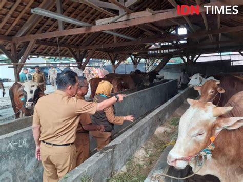 Masyarakat Diminta Beli Hewan Kurban Dengan Barcode