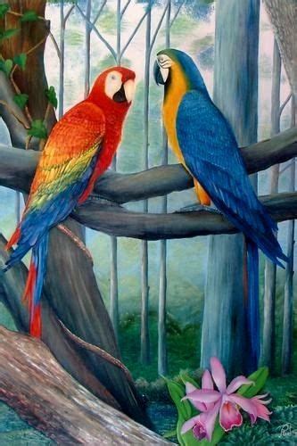 GUACAMAYA AL OLEO CON PAISAJE PAJAROS PINTADOS AL OLEO LOS POLLITOS UN