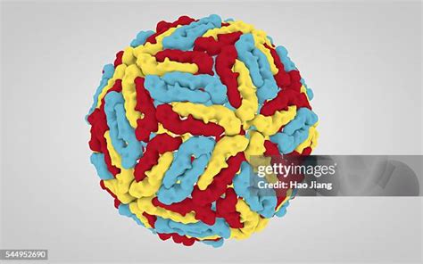 Dengue Virus Structure Stock Fotos Und Bilder Getty Images