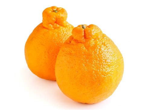 Tangerine Sumo Citrus Real Fruit Free Shipping 3 Pounds Etsy