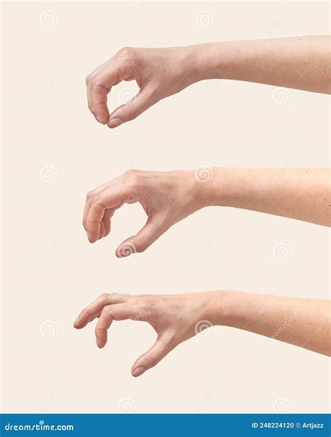 Set Of Female Hand Grip Gesture On White Stock Photo Image Of