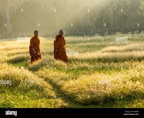 Cambodia Angkor Watt Siem Reap Buddhist Monks Walking In Field Stock